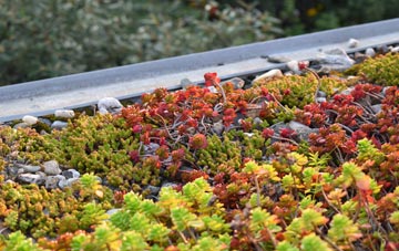 the cost of Newton Stewart green roof installation