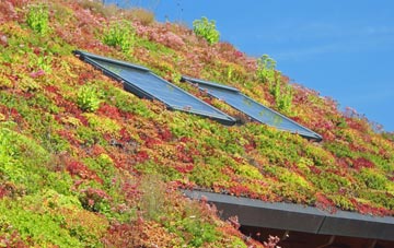 Newton Stewart living roof systems